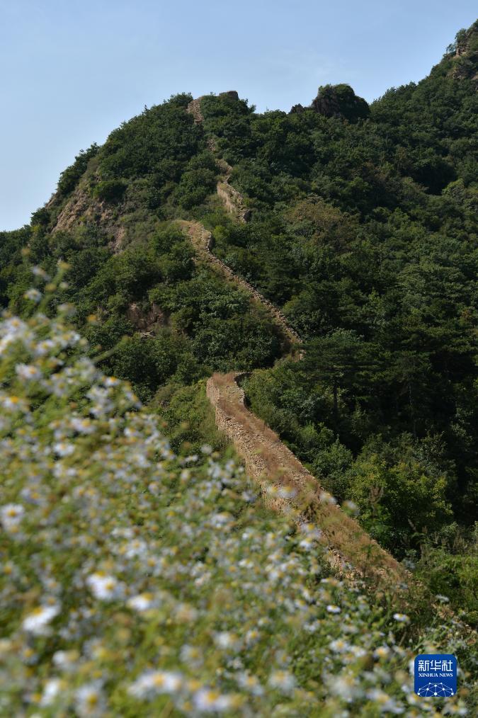 搜索 开心川麻网址